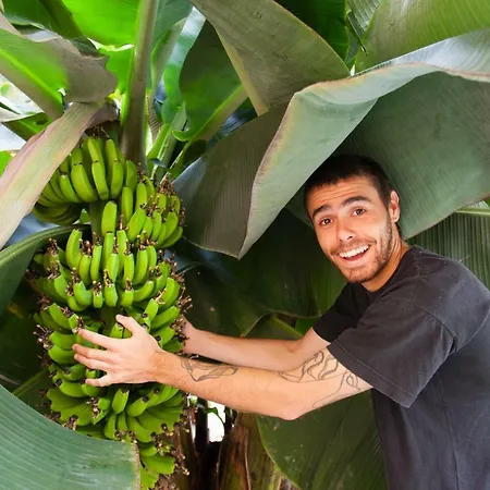 Tropical House לאס פאלמס דה גראן קנאריה