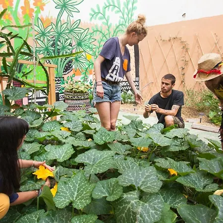 Hostel Tropical House Las Palmas de Gran Canaria